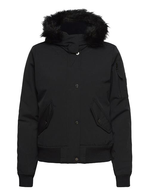 Hollister Hco. Girls Outerwear Hollister Black