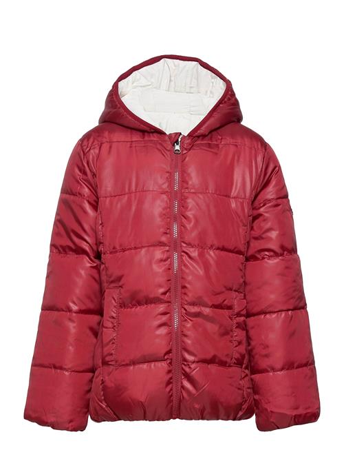 Se Mexx Jacket Mexx Red ved Booztlet