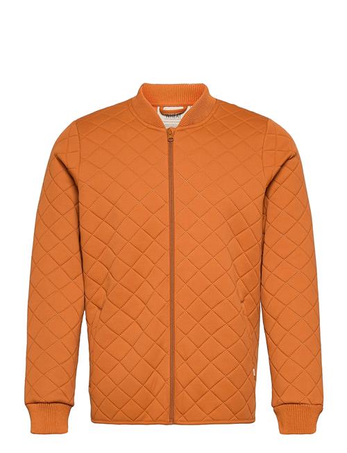 Wheat Thermo Jacket Loui Adult Wheat Orange