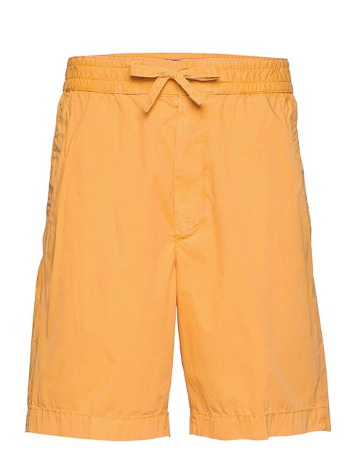 D1. Over D Cotton Ds Shorts GANT Gold