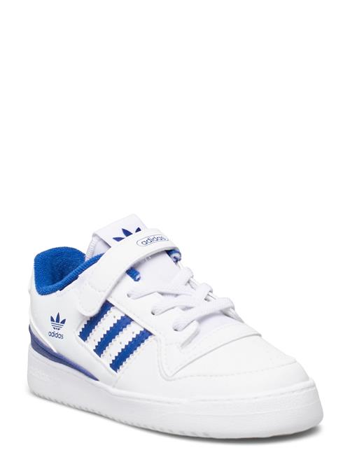 adidas Originals Forum Low I Adidas Originals White