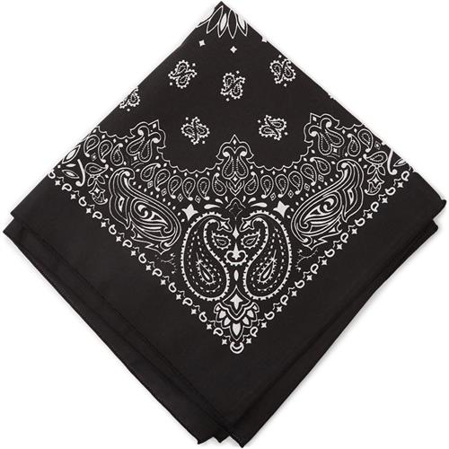 Quint Bandana Paisley Sort