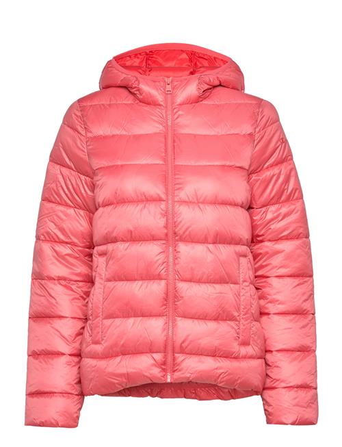 Hooded Polyfilled Jacket Champion Pink