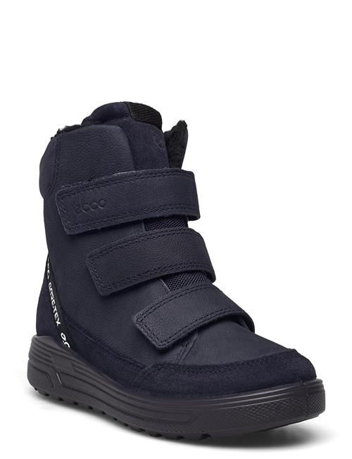 ECCO Urban Snowboarder ECCO Blue