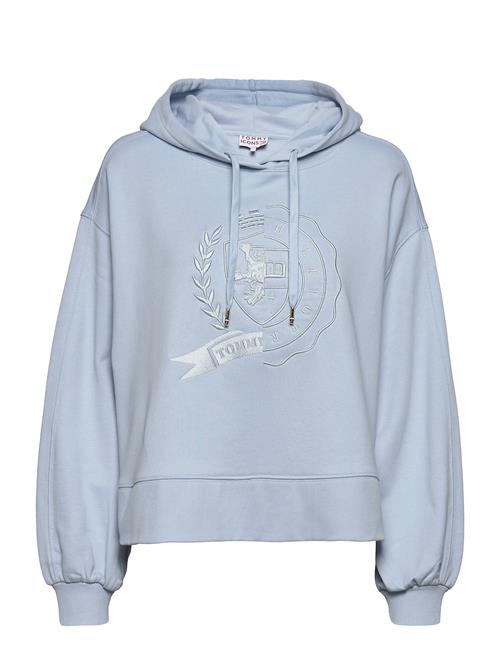 Se Tommy Hilfiger Icon Relaxed Icon Hoody Tommy Hilfiger Blue ved Booztlet