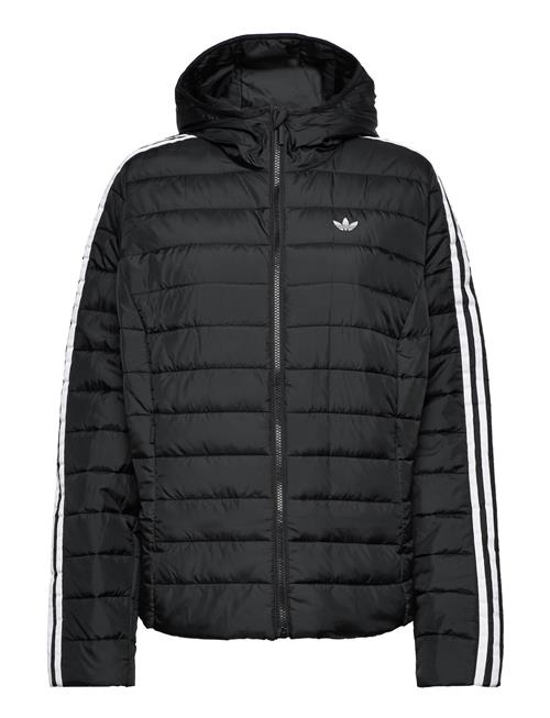 adidas Originals Hooded Premium Slim Jacket Adidas Originals Black