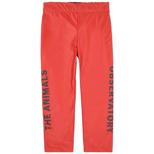 The Animals Observatory Chicken Pants Red Apple Black The Animals | Rød | 2 years