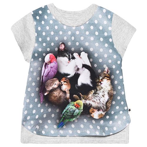 Se Molo Erin T-Shirt Søvnig Kæledyr | Grå | 62 cm ved Babyshop