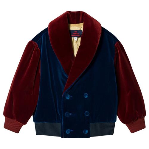 The Animals Observatory Tiger Jacket Navy Blue Yellow Tao | Marine blå | 4 years