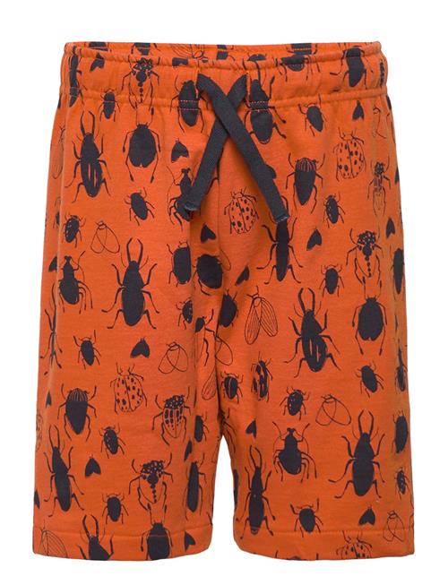 Soft Gallery Sgjordan Bugs Shorts Soft Gallery Orange