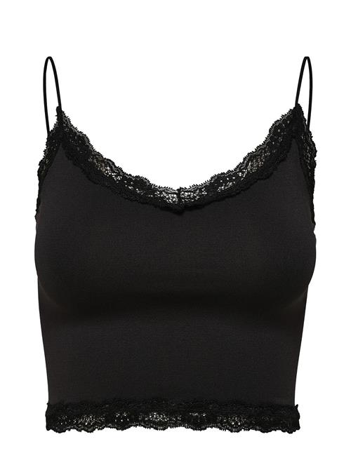 ONLY Onlvicky Lace Seamless Cropped Top Noos ONLY Black