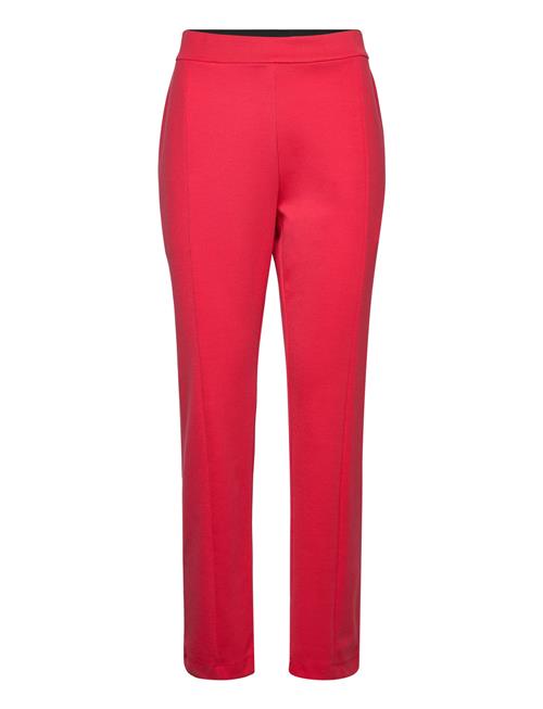 Saint Tropez Siasz Pants Saint Tropez