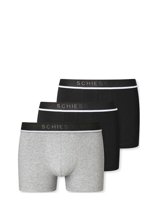 Schiesser Shorts Schiesser Grey