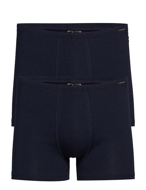 Schiesser Shorts Schiesser Navy