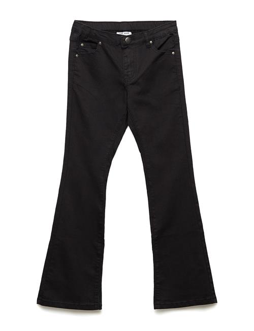 The New Flared Jeans, Black Noos The New Black