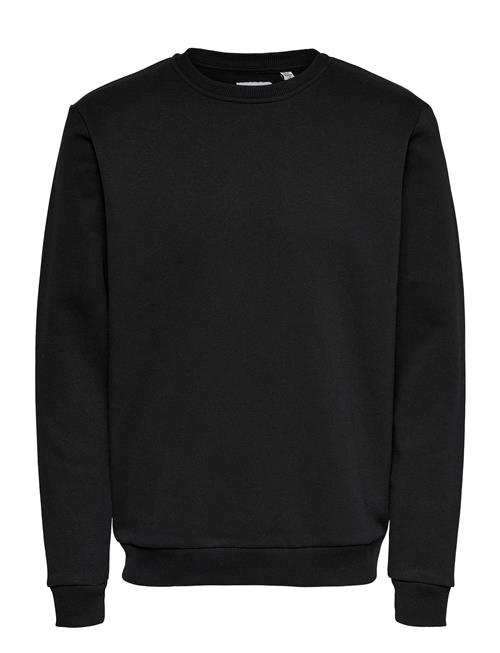 ONLY & SONS Onsceres Crew Neck Noos ONLY & SONS Black