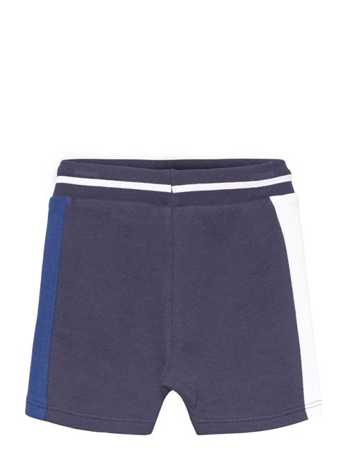 Timberland Bermuda Shorts Timberland Navy