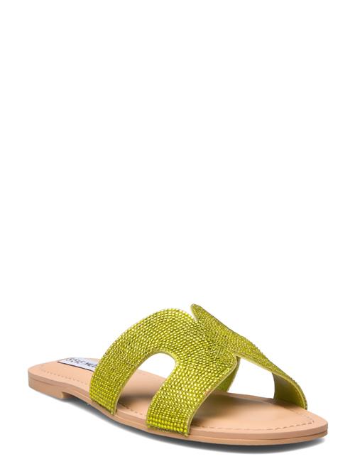 Steve Madden Zarnia-R Sandal Steve Madden Green