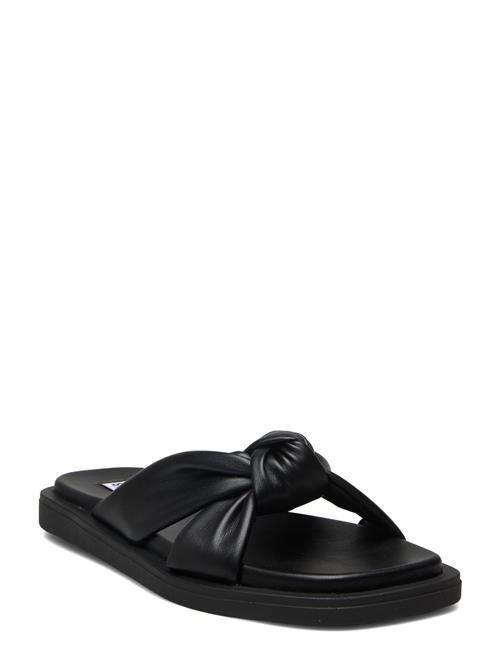 Steve Madden Allistar Sandal Steve Madden Black