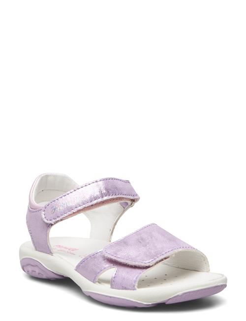 Primigi Pbr 38825 Primigi Purple