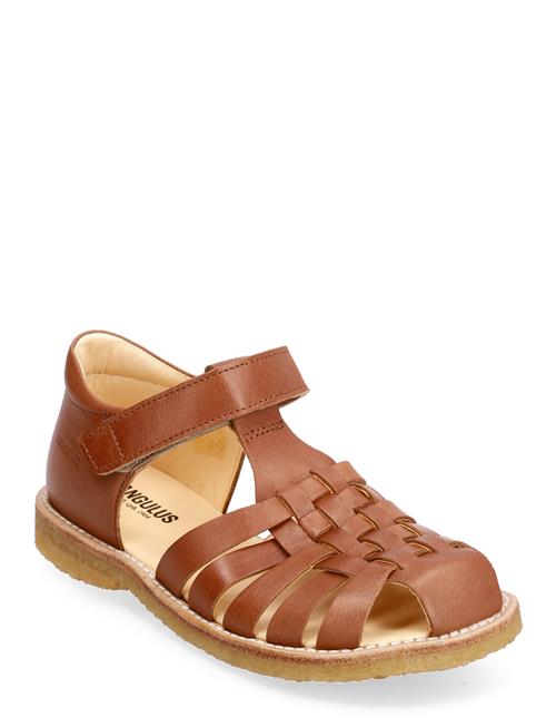 ANGULUS Sandals - Flat - Closed Toe - ANGULUS