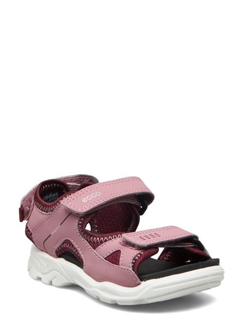 Se ECCO Biom Raft ECCO Pink ved Booztlet