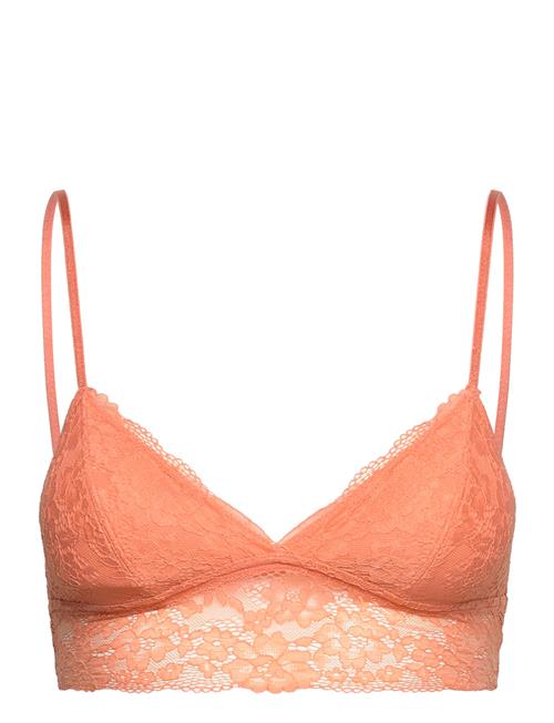 Dorina Milo Bralette Dorina Coral