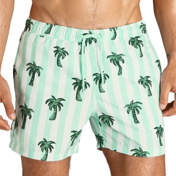 Björn Borg Badebukser Sylvester Swim Shorts Lysegrøn polyester Small Herre