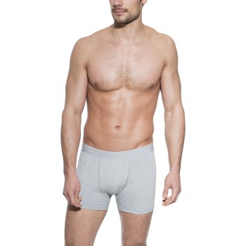 Bread & Boxers Bread and Boxers Boxer Brief Grå økologisk bomuld Medium Herre