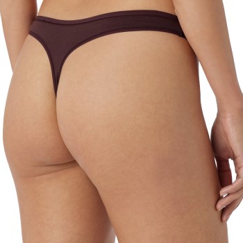 Schiesser Trusser 3P 95-5 Organic Cotton Thong Rød/Sort økologisk bomuld 42 Dame