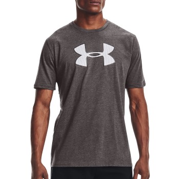 Under Armour Graphic Big Logo T-shirt Grå Medium Herre