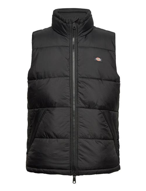 Dickies Waldenburg Vest Dickies Black