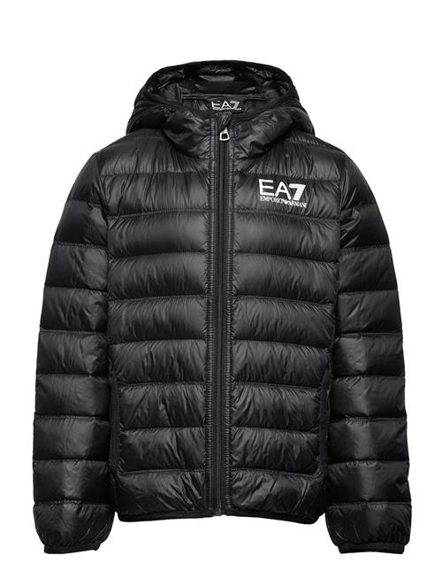 EA7 Outerwear EA7 Black