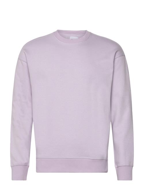 Se Jack & Jones Jjestar Basic Sweat Crew Neck Jack & J S Purple ved Booztlet