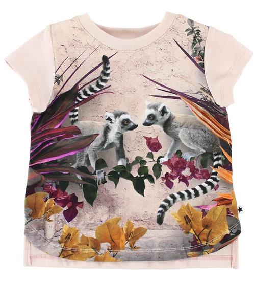 Molo Molo T-shirt - Erin - Lemur