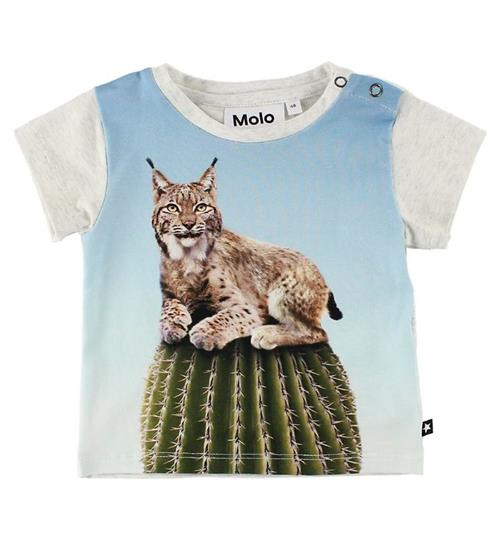 Se Molo Molo T-Shirt - Eddie - Cactus Cat ved KidsWorld