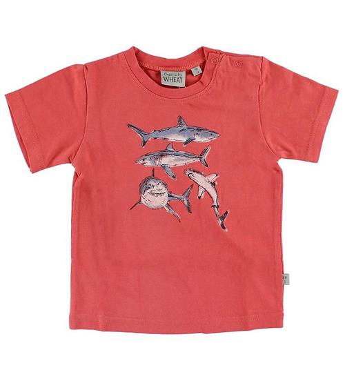 Se Wheat T-shirt - RÃ¸d m. Hajer ved KidsWorld