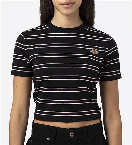 Dickies Dickies T-shirt - Cropped - Westover - Sort/Rosastsribet