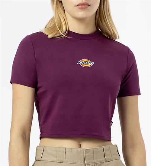 Se Dickies Dickies T-shirt - Maple Valley - Grape Wine ved KidsWorld