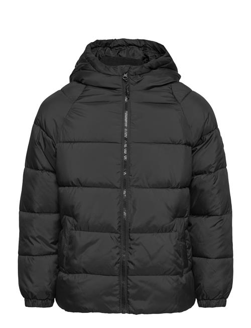 Mango Hood Quilted Coat Mango Black