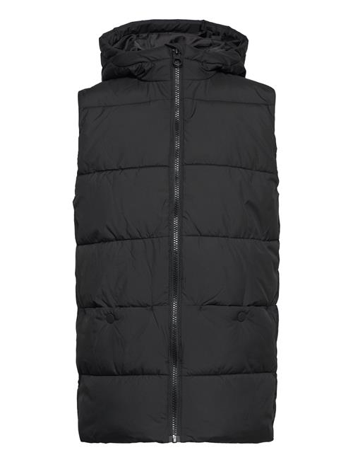 Se Tom Tailor Hooded Quilted Vest Tom Tailor Black ved Booztlet