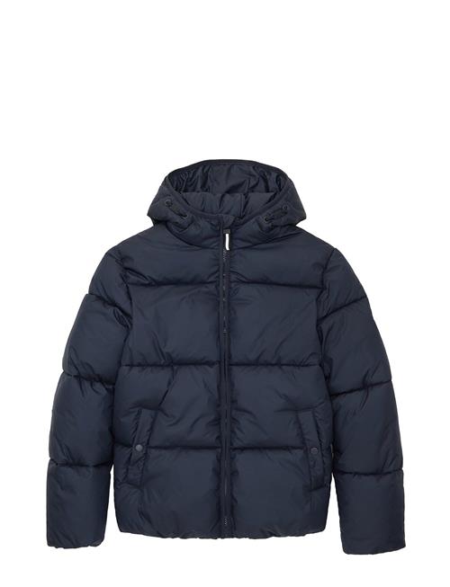 Se Tom Tailor Puffer Winter Jacket With Hood Tom Tailor Navy ved Booztlet