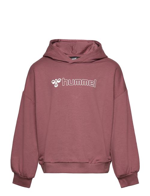 Se Hummel Hmloctova Hoodie Hummel Burgundy ved Booztlet