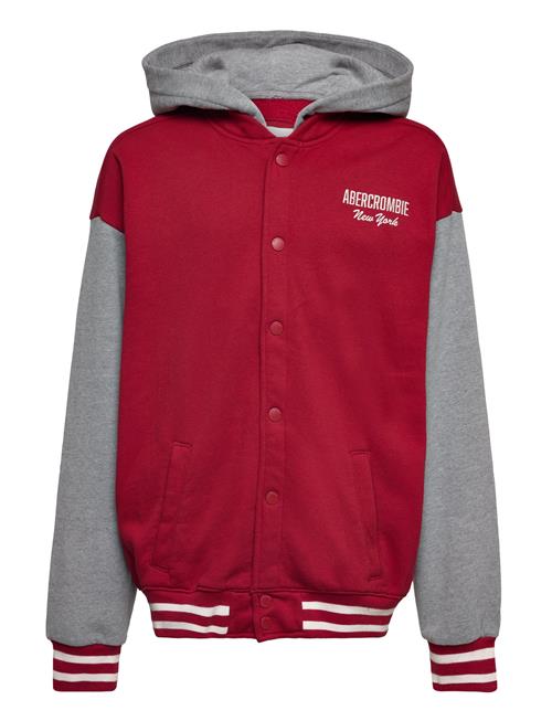 Abercrombie & Fitch Kids Boys Sweatshirts Abercrombie & Fitch Red