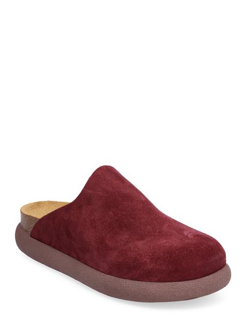 Se Scholl Sl Ivy Suede Aubergine Scholl Burgundy ved Booztlet