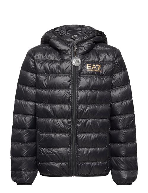 EA7 Outerwear EA7 Black