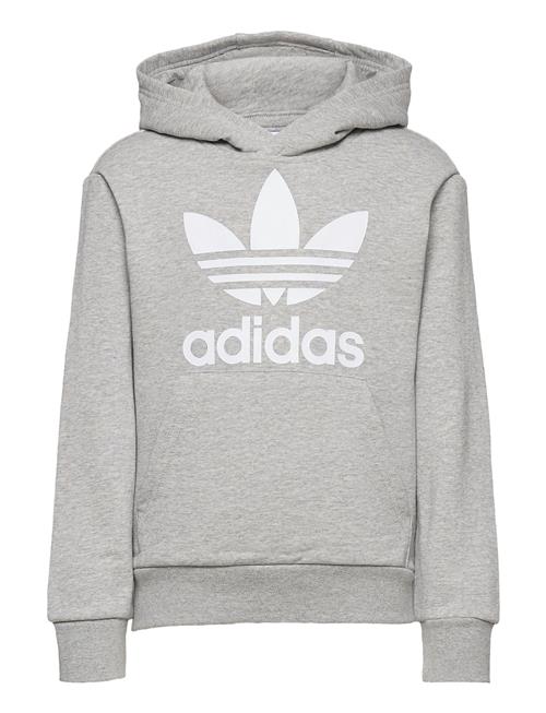 Se adidas Originals Trefoil Hoodie Adidas Originals Grey ved Booztlet