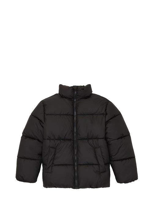 Puffer Winter Jacket Tom Tailor Black