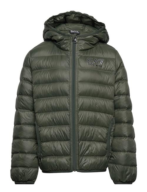 EA7 Outerwear EA7 Green