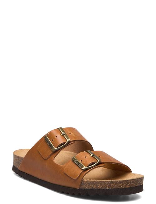 Scholl Sl Josephine Leather Scholl Brown